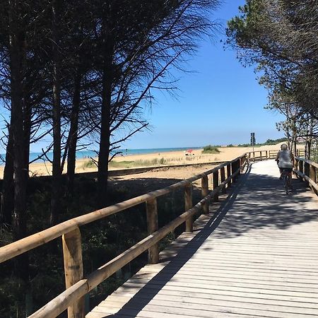 Appartamenti Diana Est Bibione Esterno foto